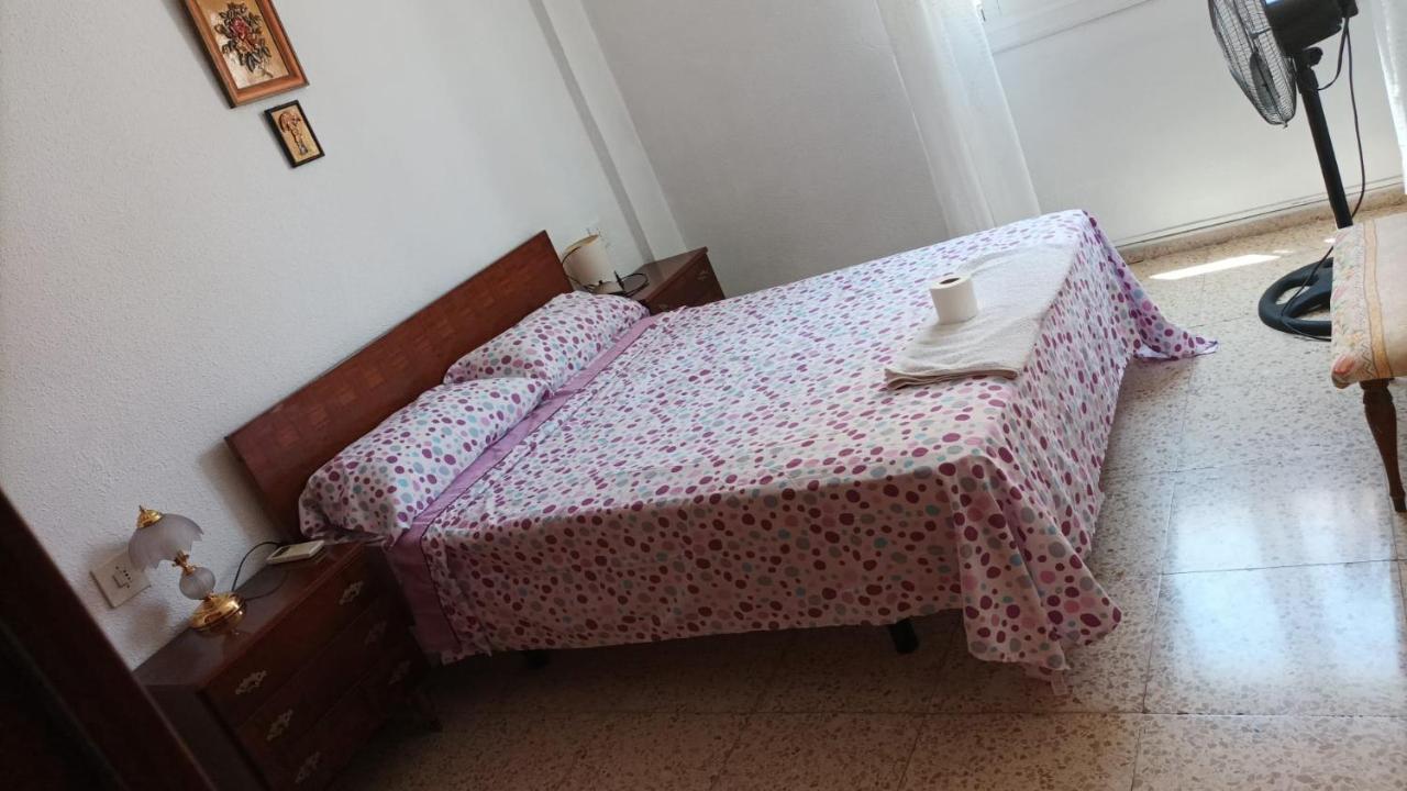 Alquiler Alicante 02 外观 照片